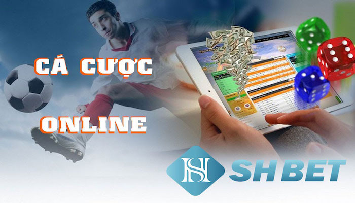 Các đối tác cá cược thể thao Shbet của nhà cái Shbet